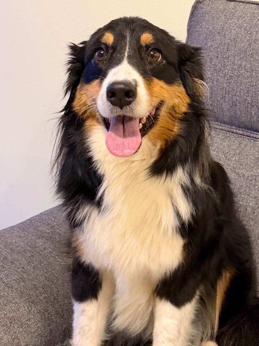 Natsuko🍎🐱🏃🏻‍♀️ tweet media