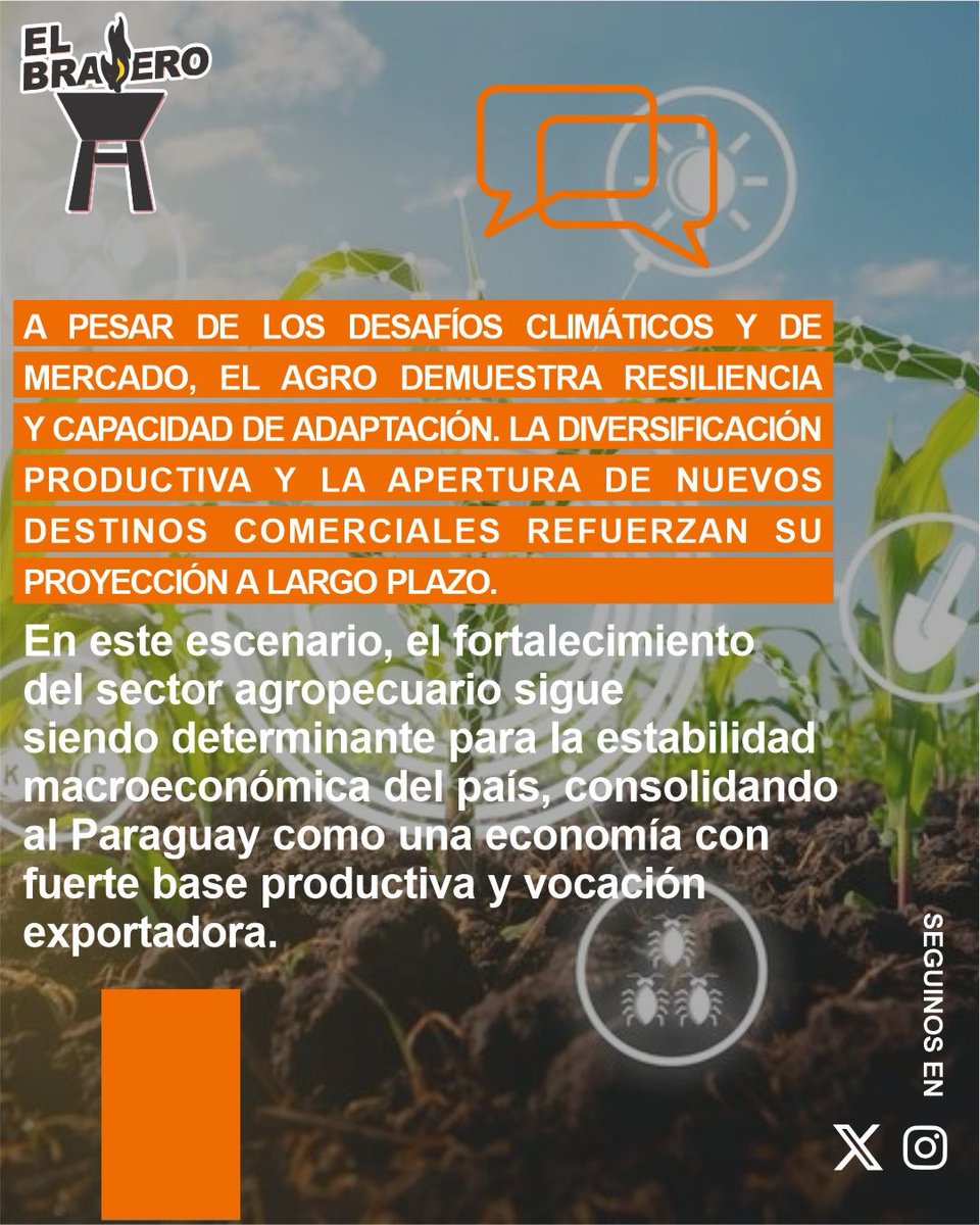 ElBraseroPy tweet media