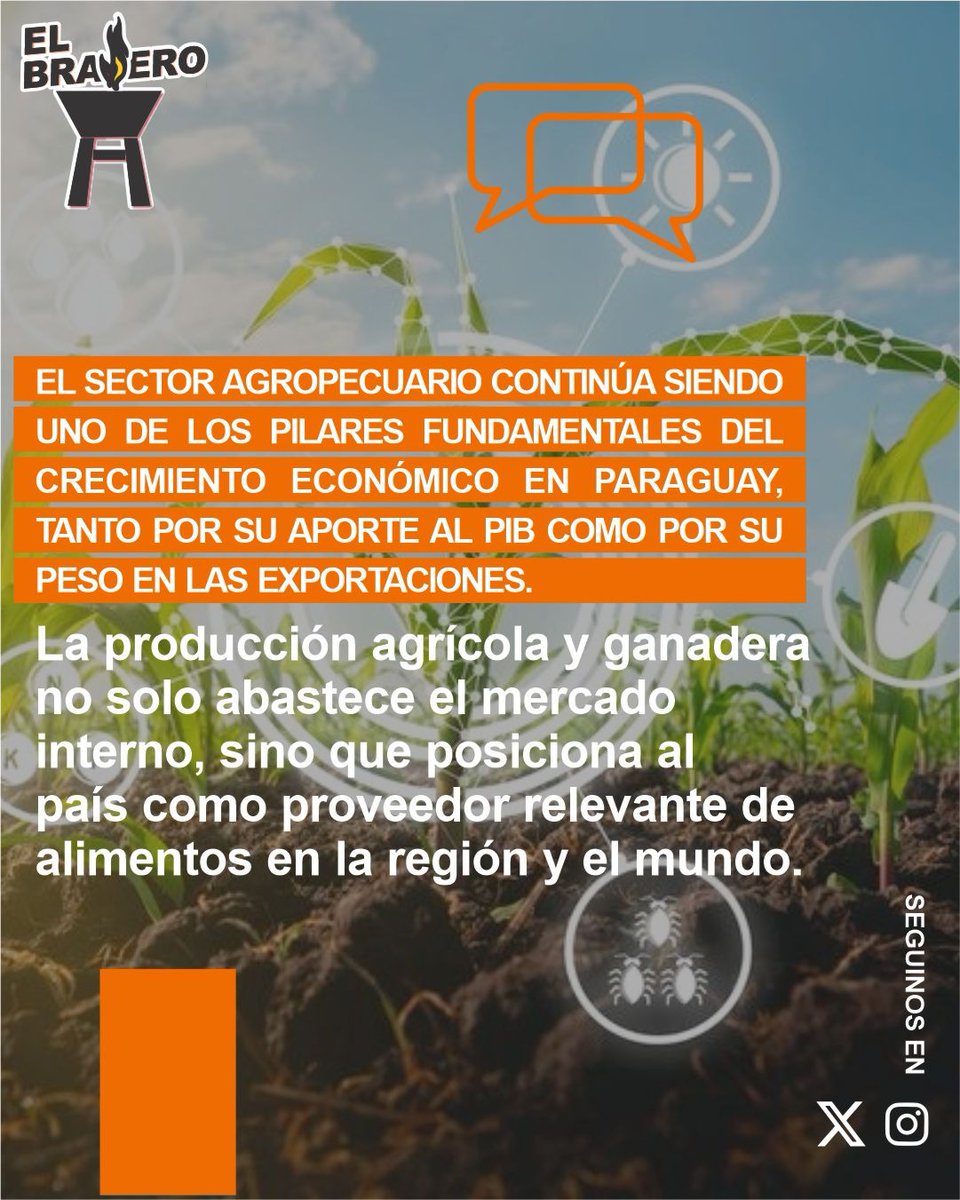 ElBraseroPy tweet media