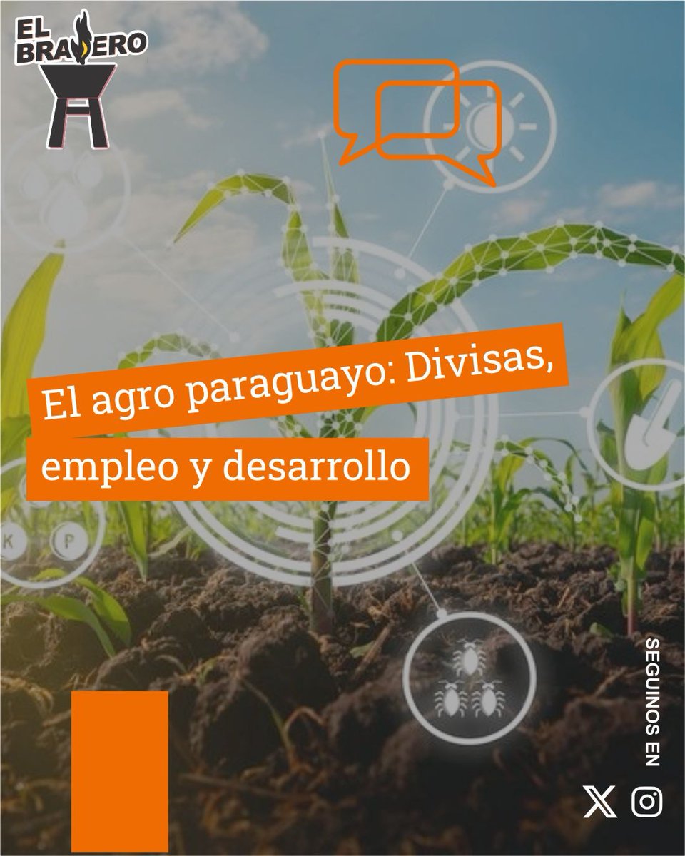 ElBraseroPy tweet media