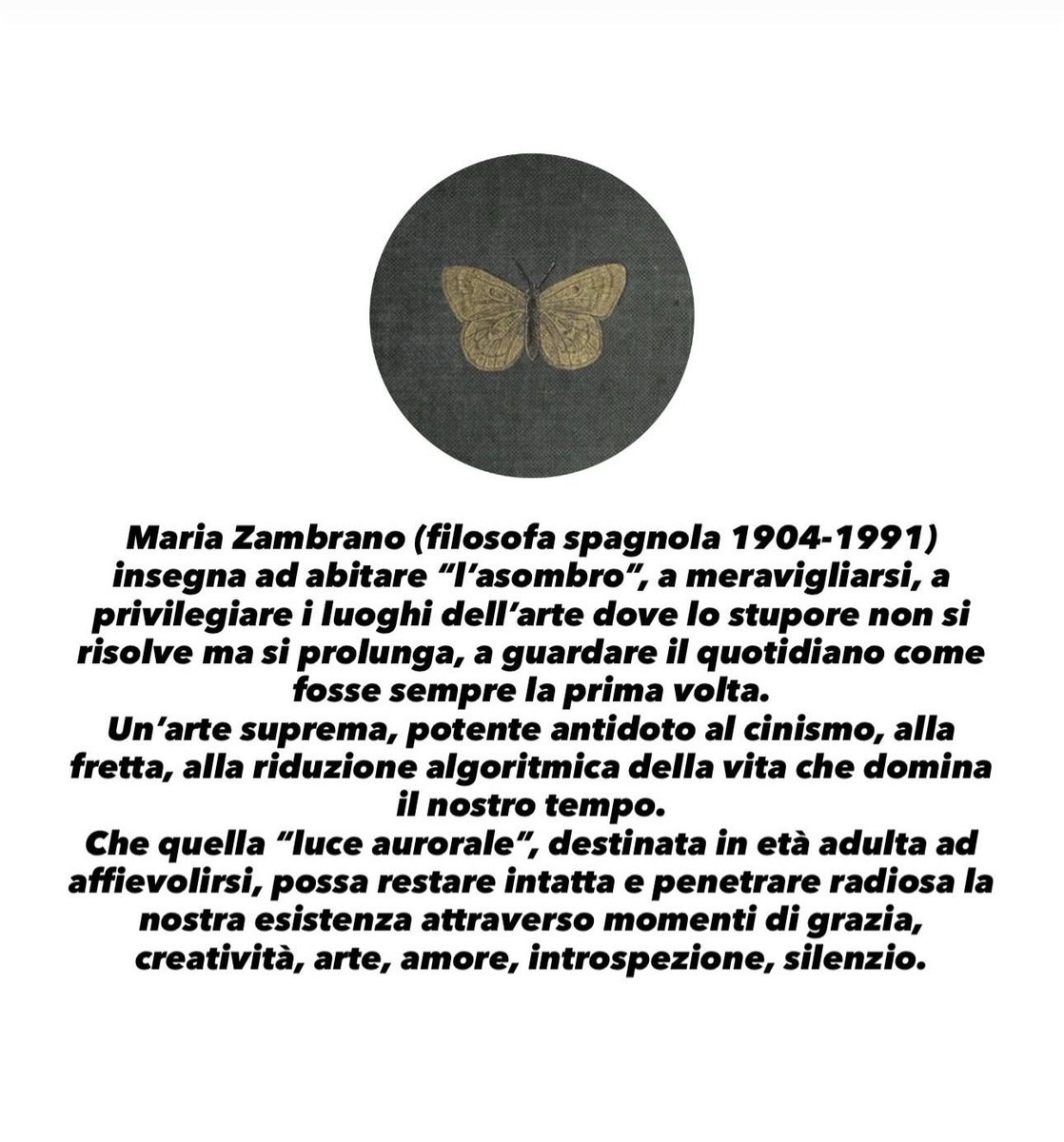 Riflessione. #meraviglia