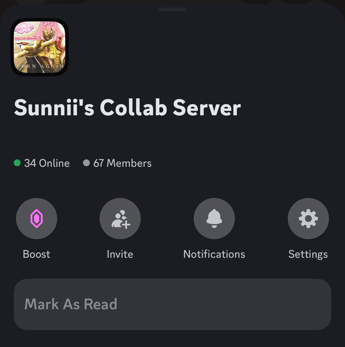 Sunnii🌸💕【lucid ☁️】Sakura Fox tweet media