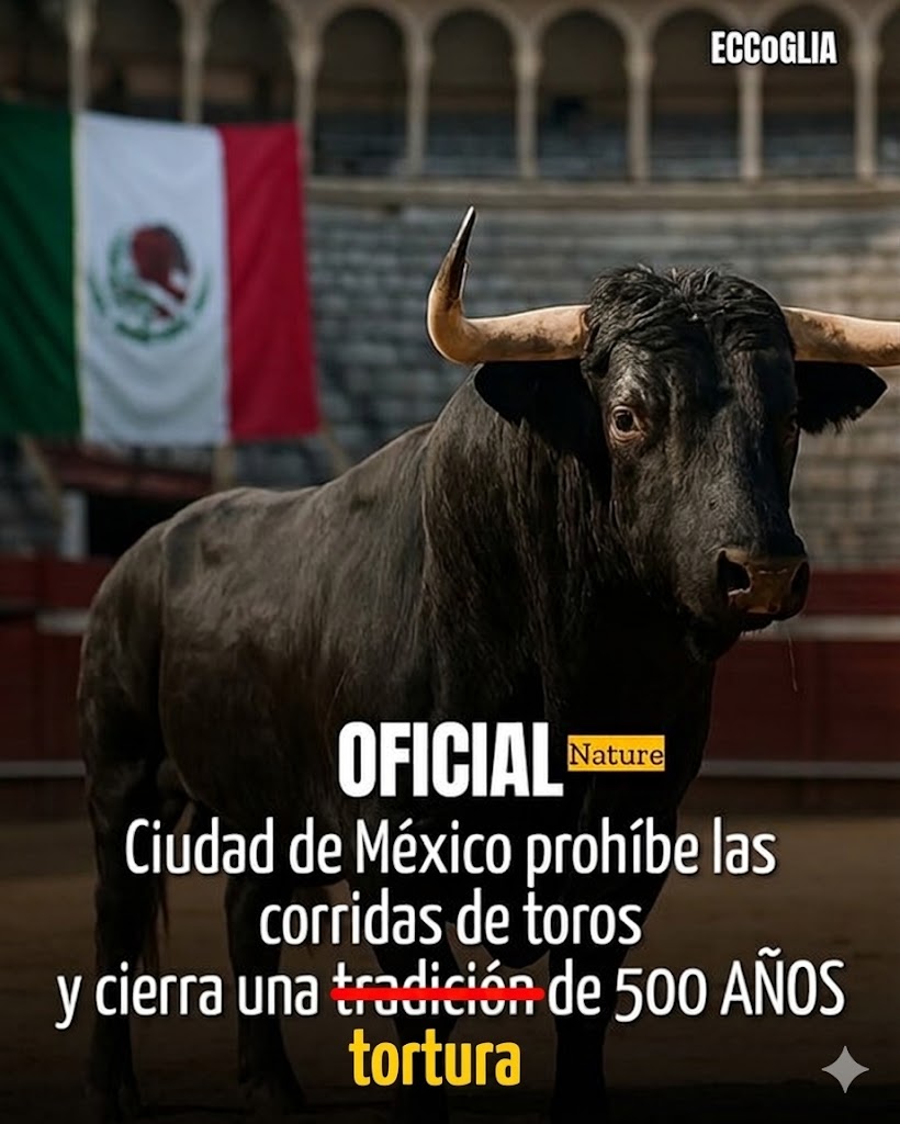 kloylar's tweet photo. @Octavio_01 Mejor así https://t.co/tDm23YSiUI