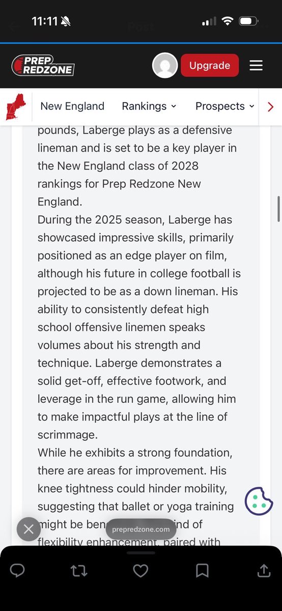Madden Laberge tweet media