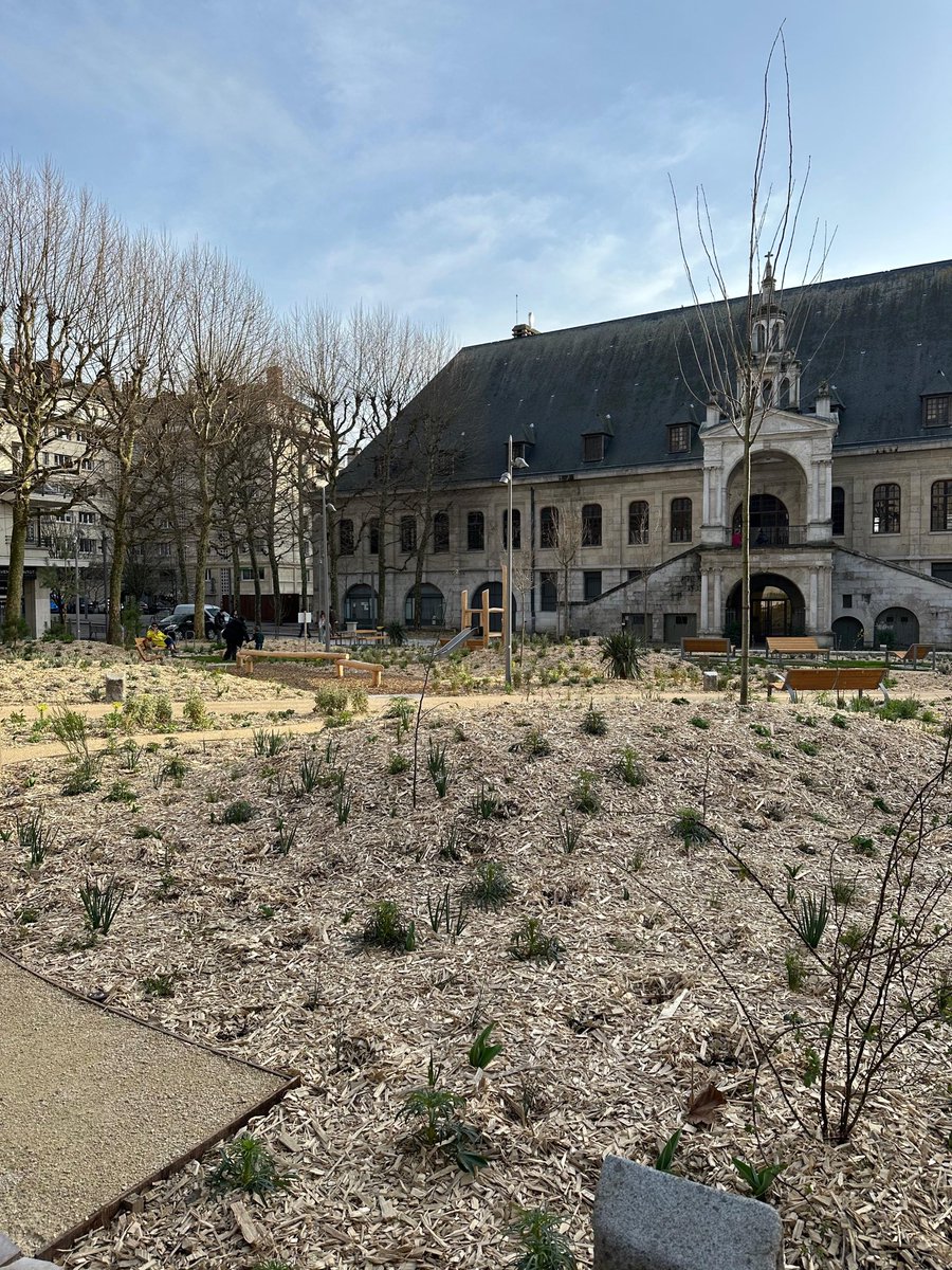 Nicolas Mayer-Rossignol tweet media