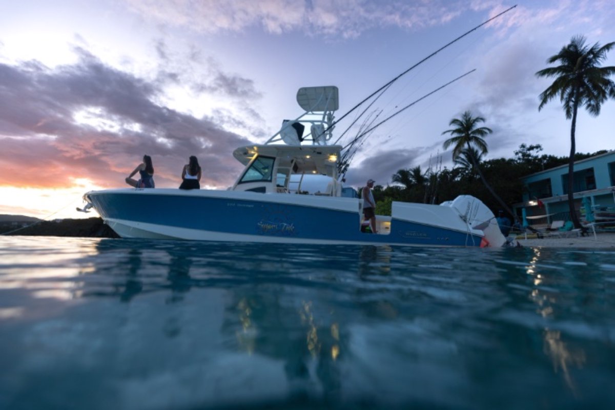 SugarsTide tweet media