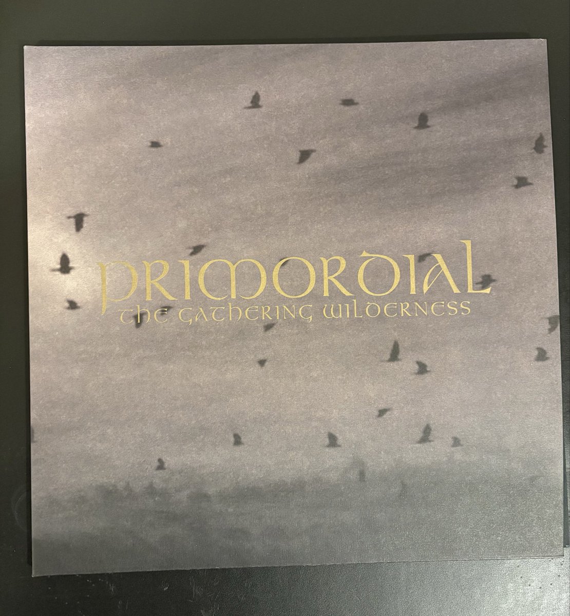 SIGARTYR's tweet photo. Finally completed my Primordial vinyl collection, don’t know why The Gathering Wilderness was so hard to find (in black vinyl, not a fan of coloured vinyl),  but it’s my sentimental favourite https://t.co/IcY6Sk38C6