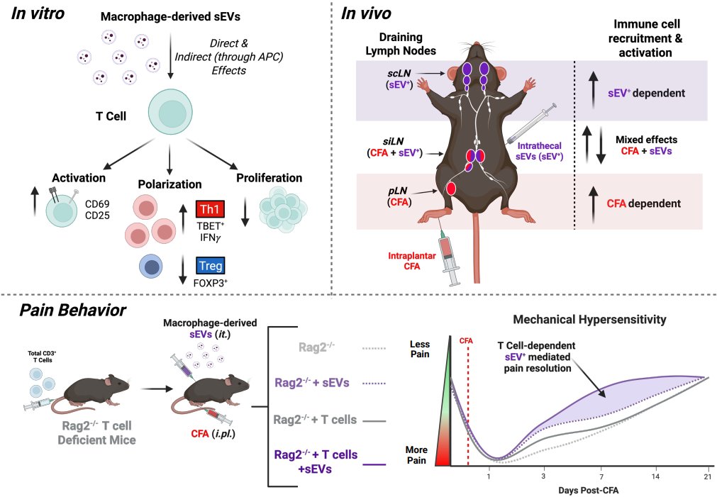 Waggoner Lab tweet media