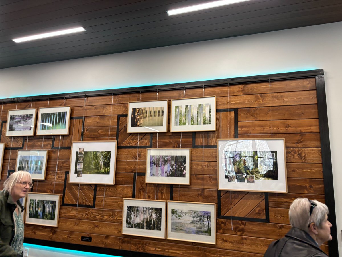 Library of Michigan tweet media