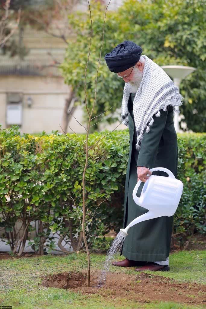 dokhtaryy's tweet photo. امروز جای این قاب در چشمانمان خالی بود.😔
#تا_پای_جان_برای_ایران 
#لبيك_يا_خامنه_ای‌ https://t.co/XSLTFpKI10