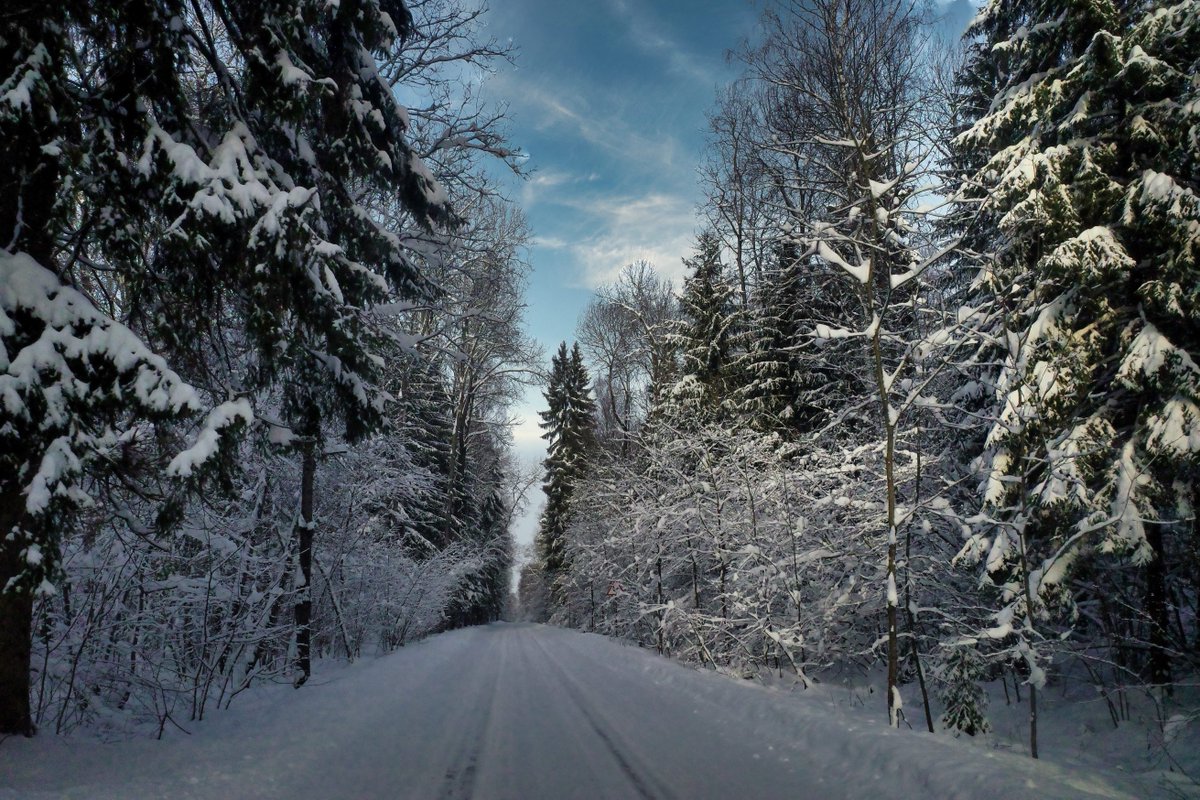 PEKHTography's tweet photo. Nature just ran your personality test. ❄️ 
You walked straight into a white corridor going nowhere, 
grinned like an idiot, took seventeen photos. 😂 
Diagnosis: irreversible. 🌲
#NatureHeals #WinterForest #SnowRoad #WildSilence https://t.co/1aRF4kceTo