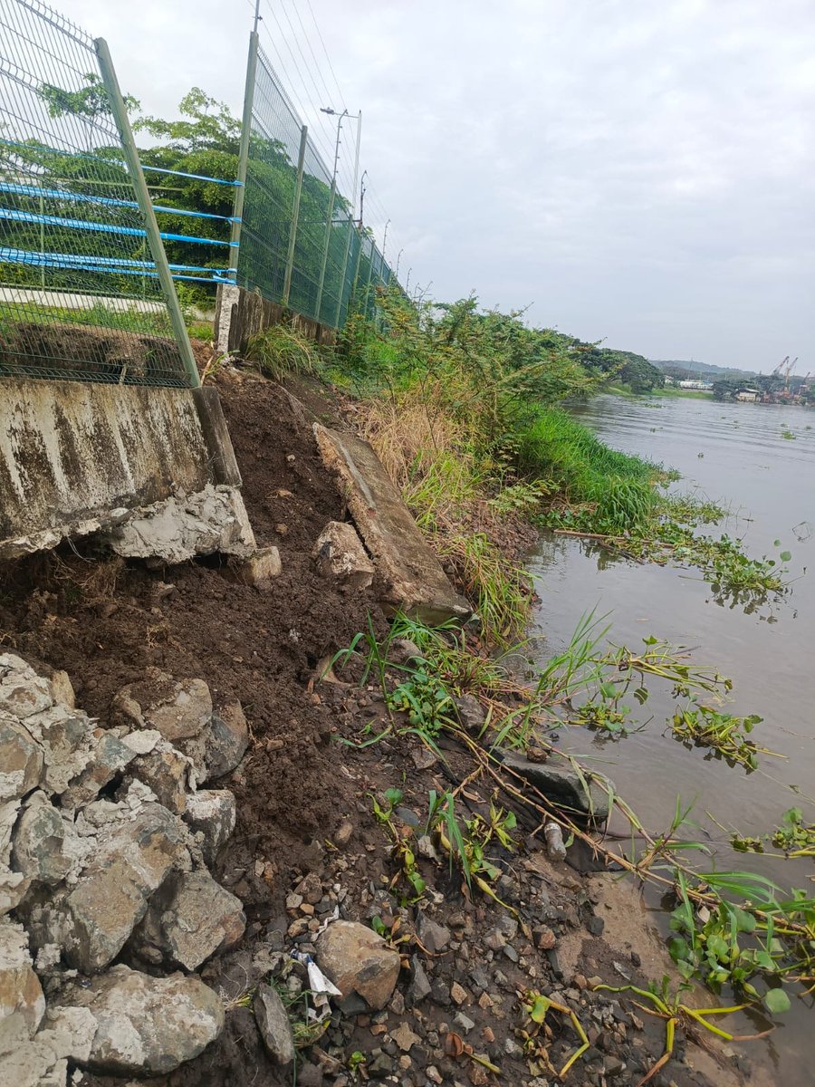 Forestal11_CS's tweet photo. SOS @Riesgos_Ec  @segura_ep
Creciente del Río Daule, rompe nuevamente muro de Etapa Forestal (Ciudad Santiago) y amenaza ingresar a esta ciudaddela habitan 400 familias 
Todo por irresponsabilidad  FUROIANI OBRAS Y PROYECTOS S.A, que incumplen entrega de muro 0desde hace 2 años https://t.co/cQl4IeDnB9