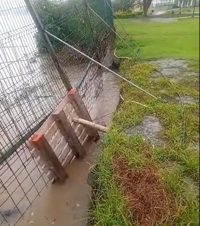 Forestal11_CS's tweet photo. SOS @Riesgos_Ec  @segura_ep
Creciente del Río Daule, rompe nuevamente muro de Etapa Forestal (Ciudad Santiago) y amenaza ingresar a esta ciudaddela habitan 400 familias 
Todo por irresponsabilidad  FUROIANI OBRAS Y PROYECTOS S.A, que incumplen entrega de muro 0desde hace 2 años https://t.co/cQl4IeDnB9