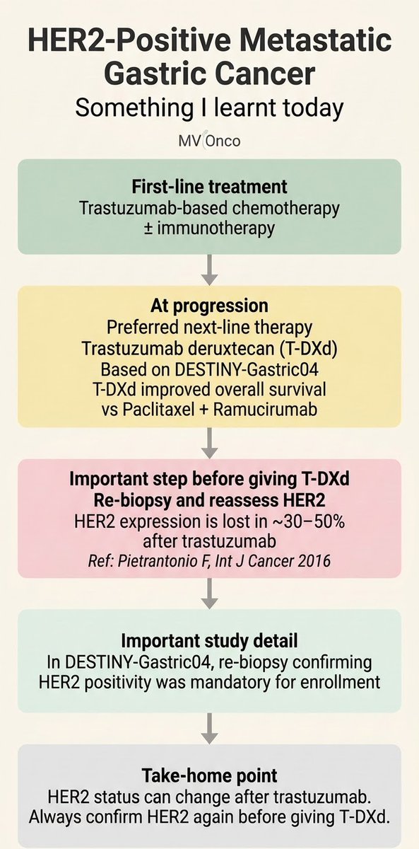 HER2+ metastatic gastric cancer • 1L: Trastuzumab-based chemotherapy ± ...