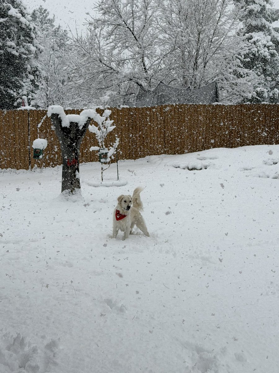 Mile_High_Dad tweet media