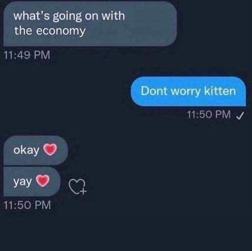 Todo print de conversa do Daniel Vorcaro com a mulher é basicamente isso
