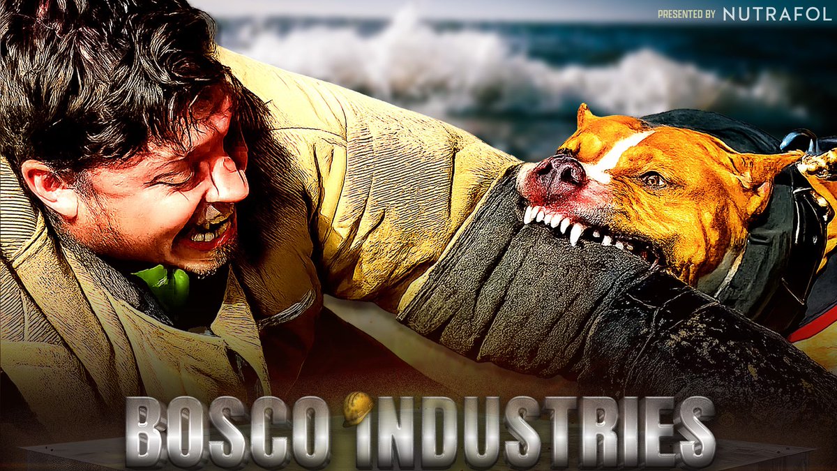 The old dog meets the stunt dog … SZN 2 of <a href="/boscoindustries/">Bosco Industries</a> is live presented by <a href="/NutrafolMen/">NutrafolMen</a>