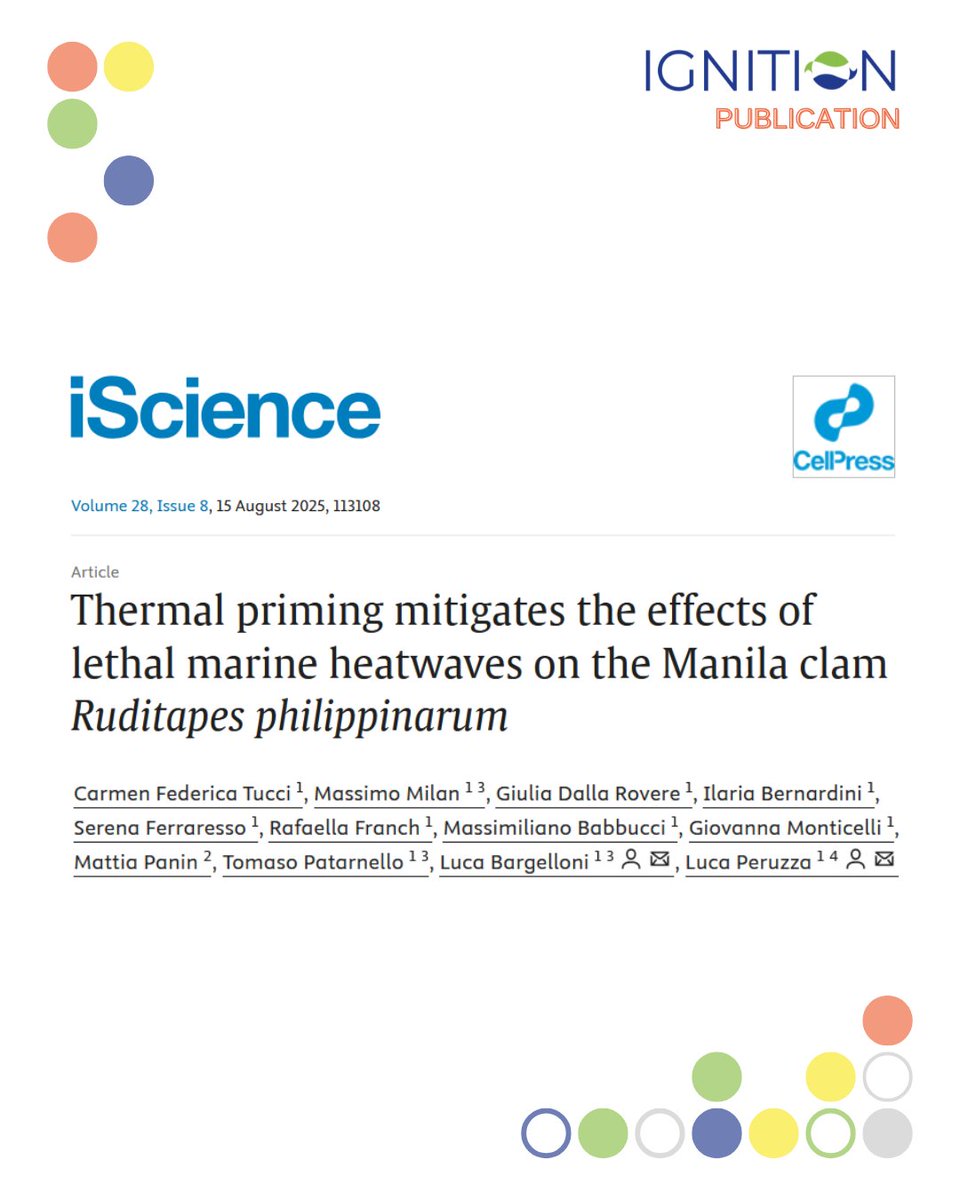 IGNITION tweet media