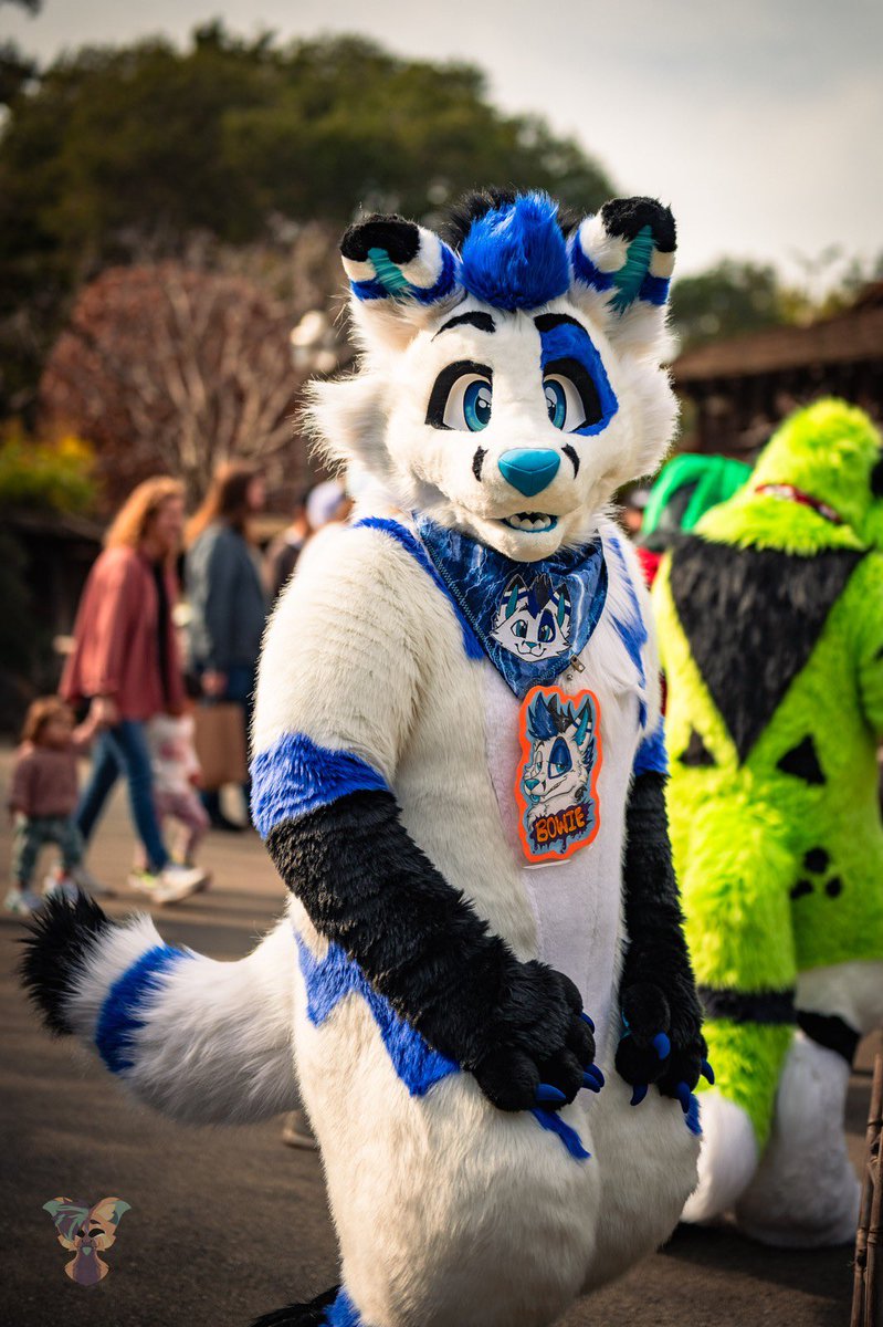 Bowie Fox tweet media