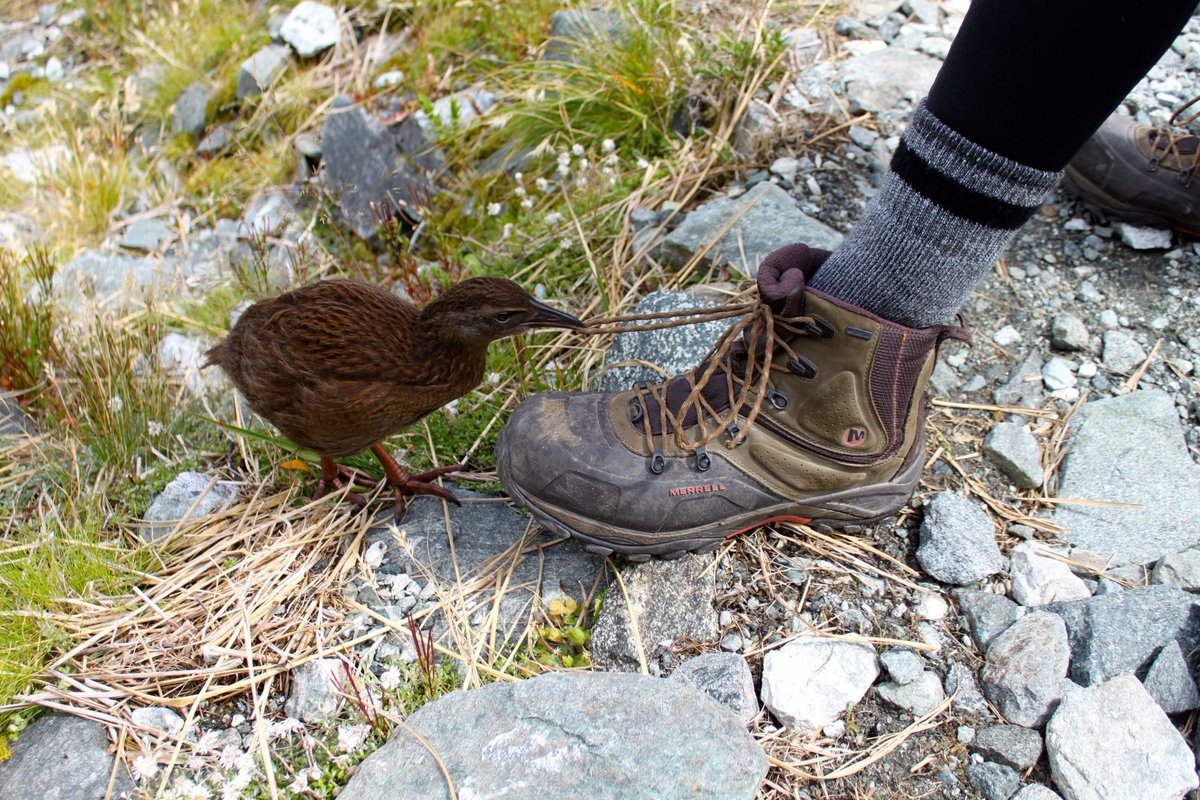 Reid Wilson tweet media