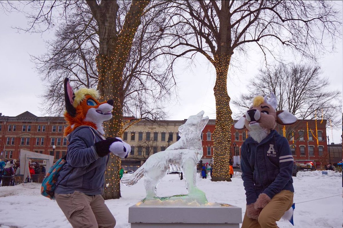 Luke Fox tweet media