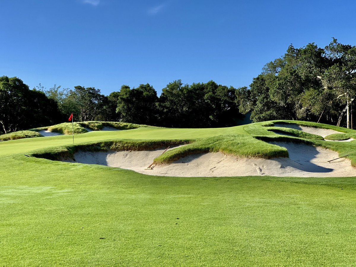 Pete Pappas tweet media