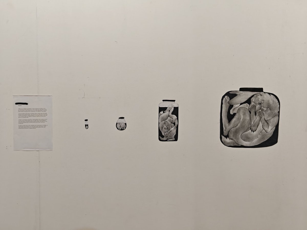 august 🐲 dragon lover tweet media