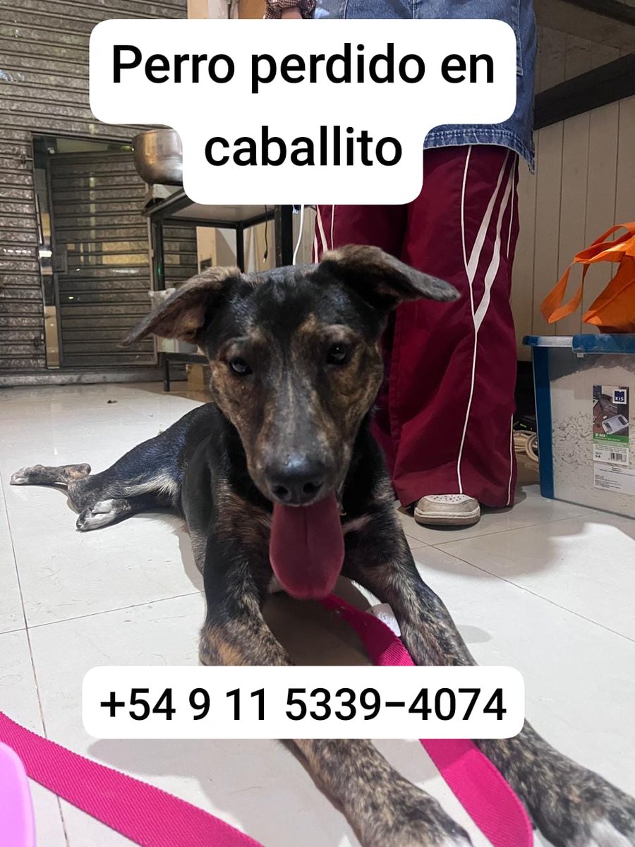 patripeyrou's tweet photo. Rt
Urgente 
Transito!! https://t.co/ZdNfKORSB3