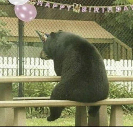 KendrishSM's tweet photo. Another year... 24 https://t.co/CW0ZMAEVTp