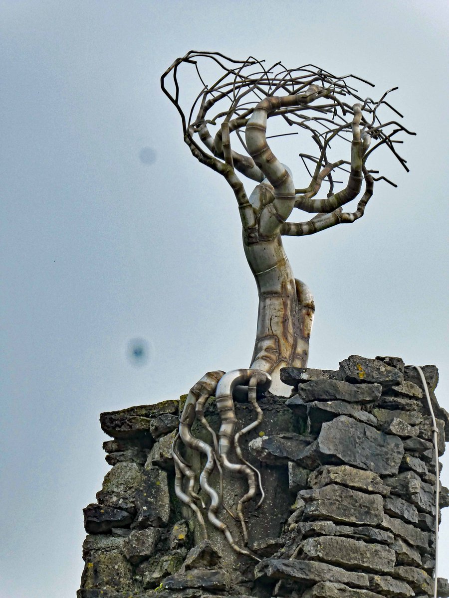 Billy Lyons tweet media