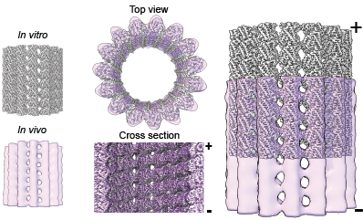 Simone Reber tweet media