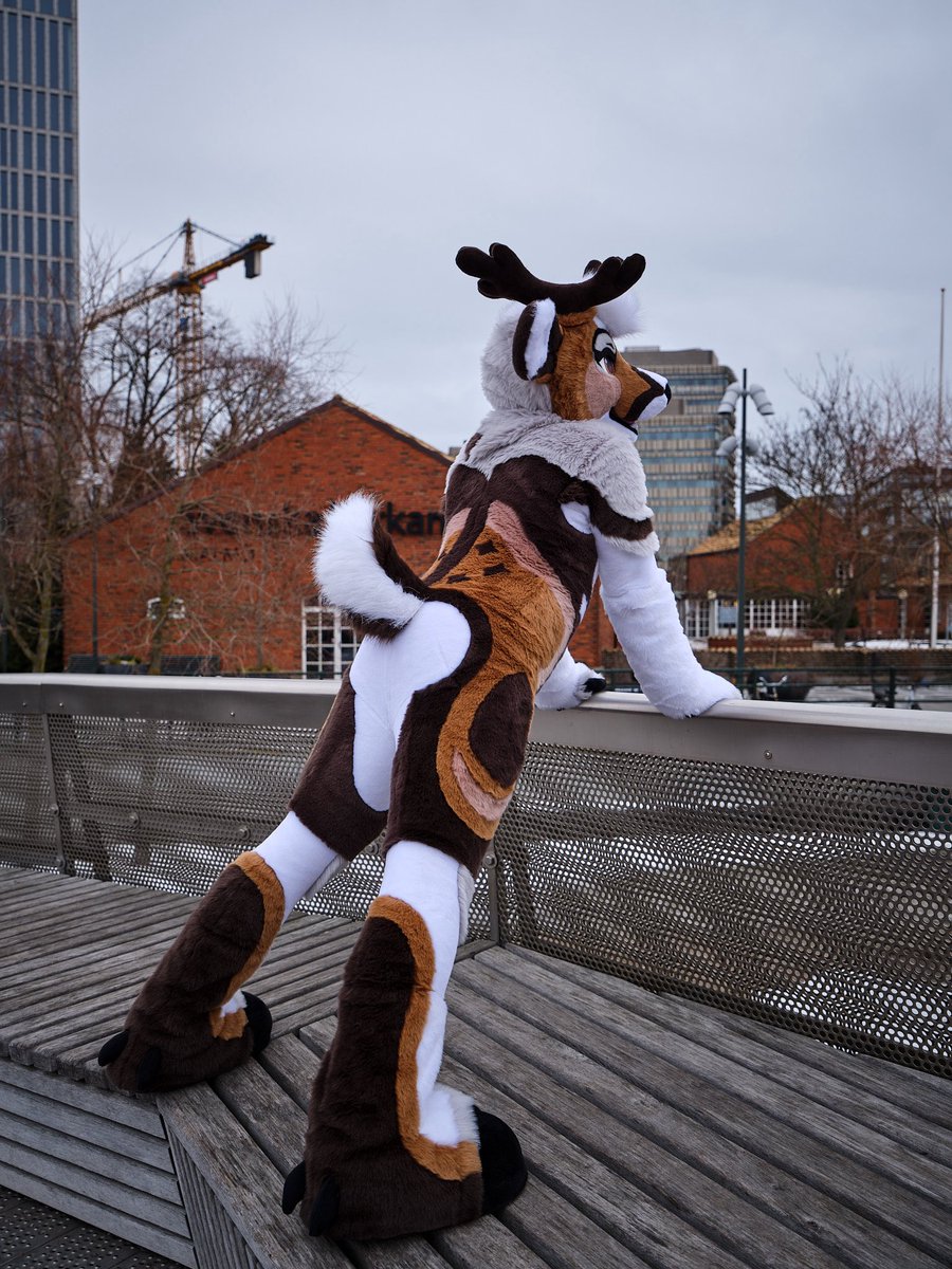 Bleat_Deer's tweet photo. Stretching them leggies 
#FursuitFriday 
📸@LightOfSolaris1 
🪡 @WildcatCostumes https://t.co/qtxjqMDhts