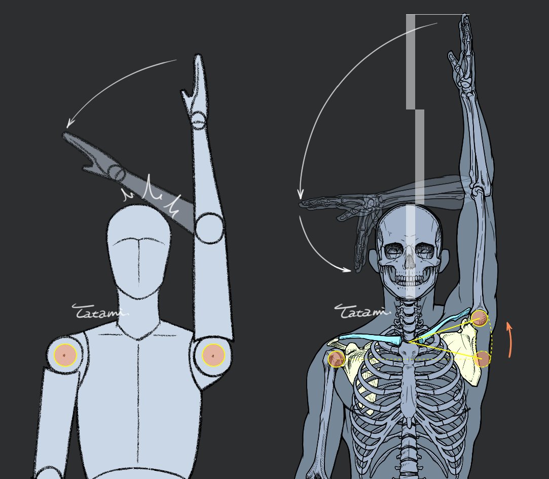 畳@atelier Loop tweet media