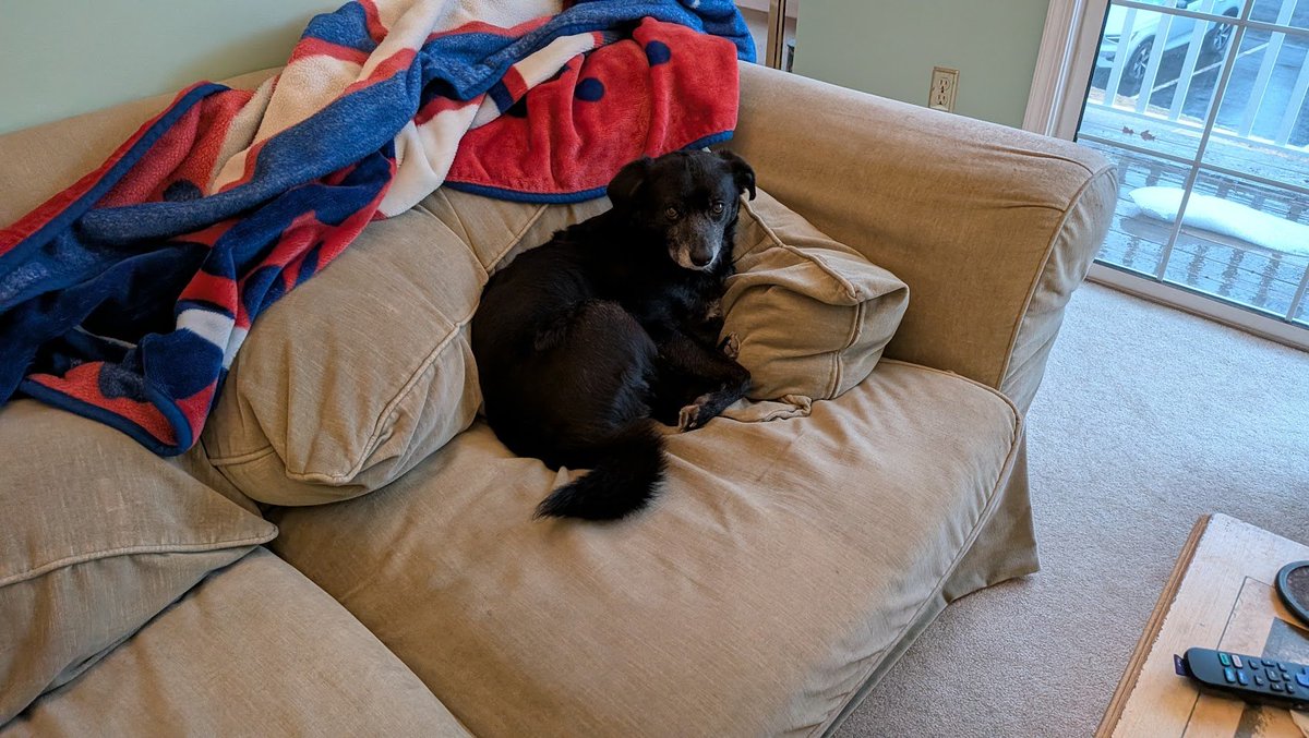 OptionsMike's tweet photo. Mmm Dad why you trading this crappy market...
Come play with me...
#LIFEOFDUKE https://t.co/964SacLLNh