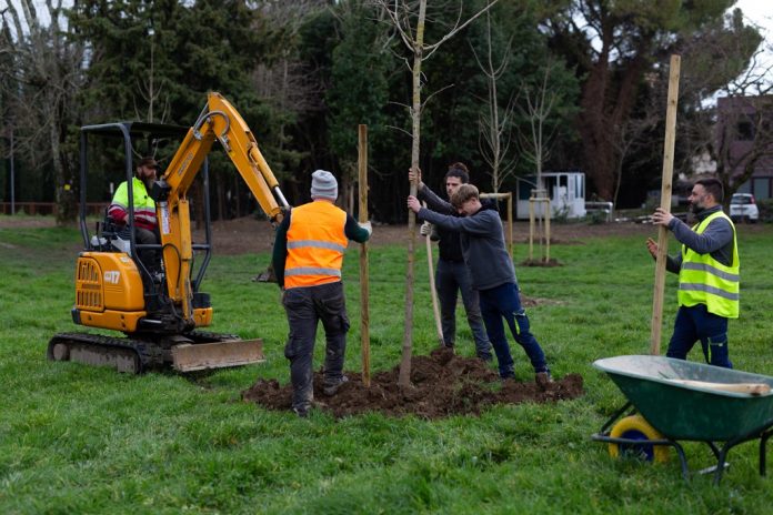 #SestoFiorentino: messi a dimora altri 130 alberi
tuttosesto.net/sesto-messi-a-…