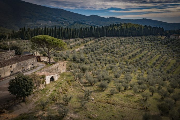 Registro nazionale del paesaggio rurale e delle pratiche agricole: c’è anche #Calenzano
tuttosesto.net/registro-nazio…