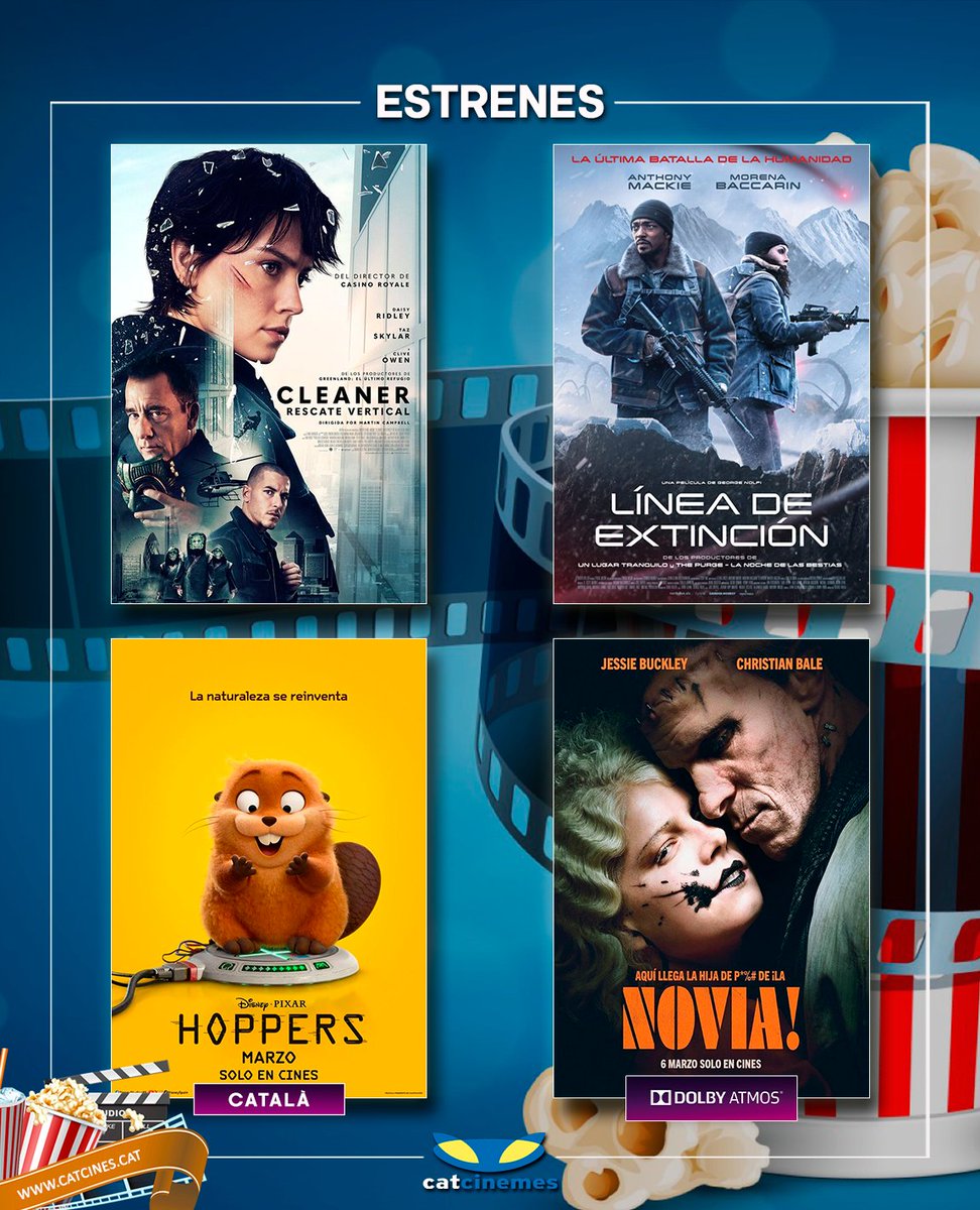 Catcines tweet media