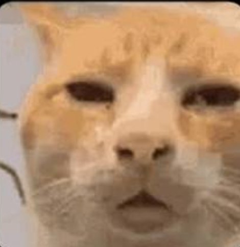 Rave7442 tweet media