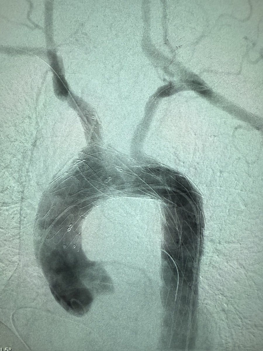 frank arko tweet media