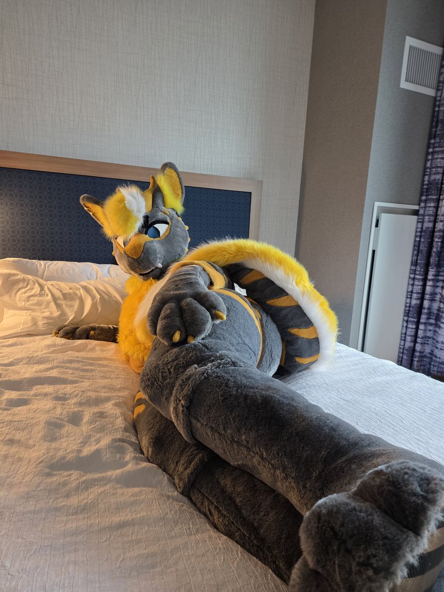 Lowly🐉🏜️ @LVFC tweet media