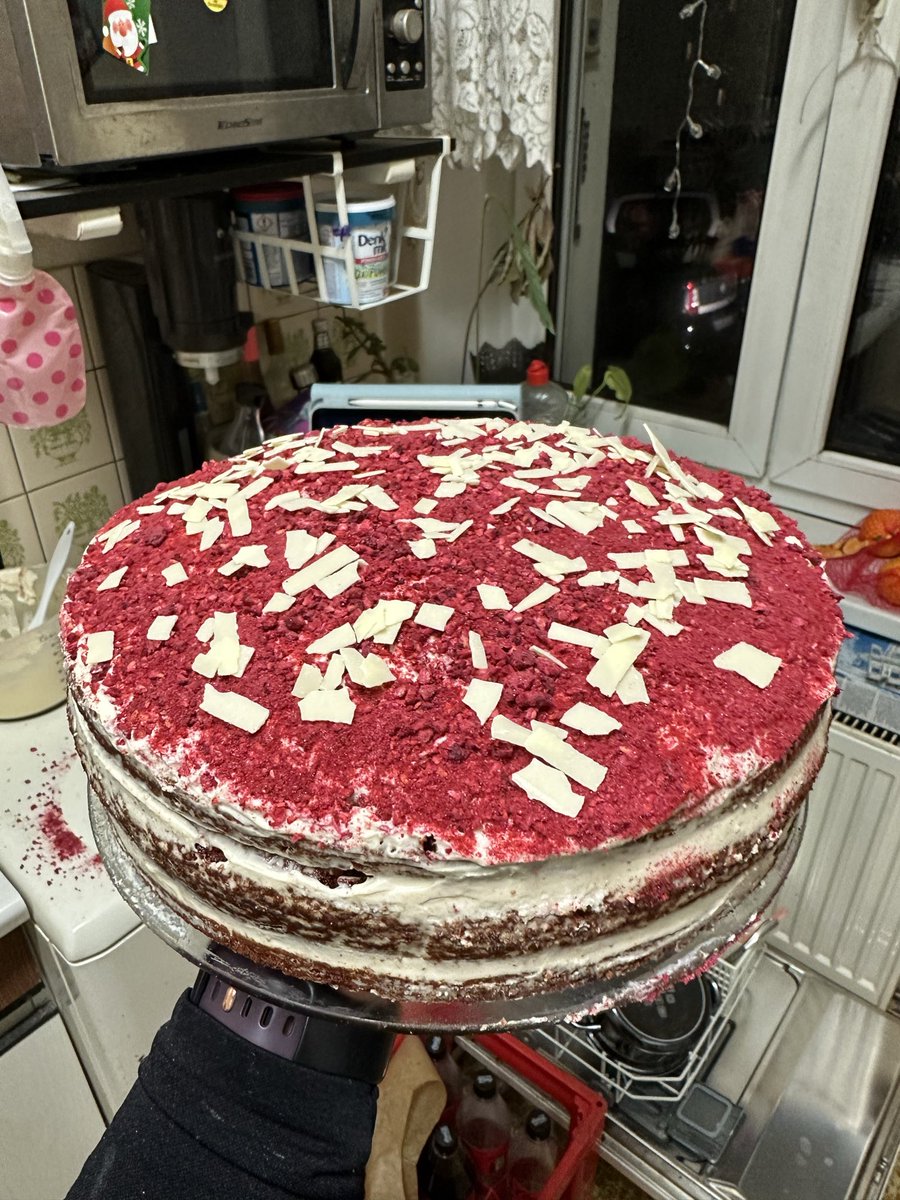 ti 🔨🌱 tweet media