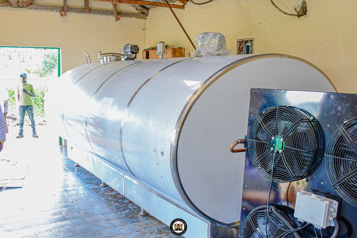 hon_wamuchomba's tweet photo. Here it is ! 
After three years of waiting , President Ruto’s pledge to Githunguri dairy Farmers has been delivered . 
We recieved a 10,000 liters cooling  tank through the State department of Livestock .
No more pouring of milk. 

Two term loading . https://t.co/vVYpEd0cHI