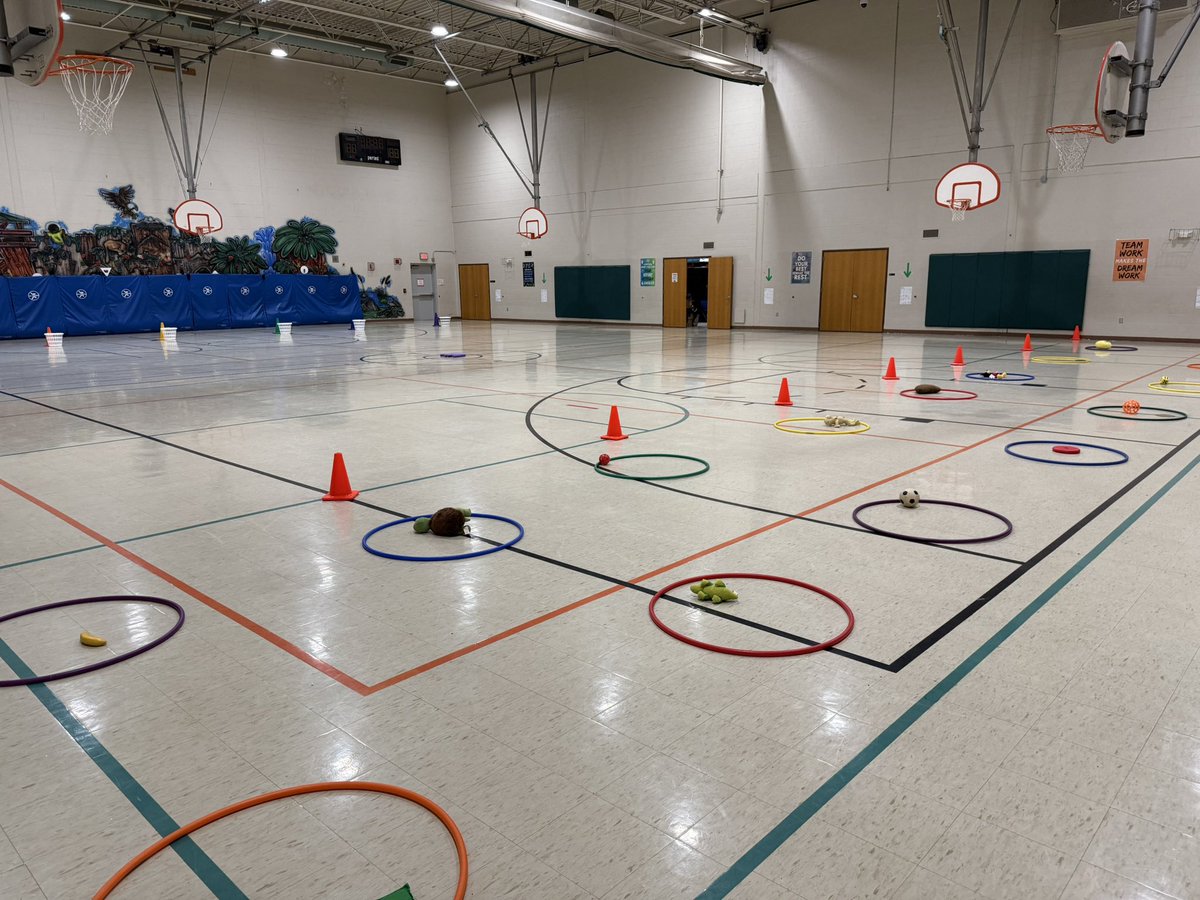 Josh Gross tweet media