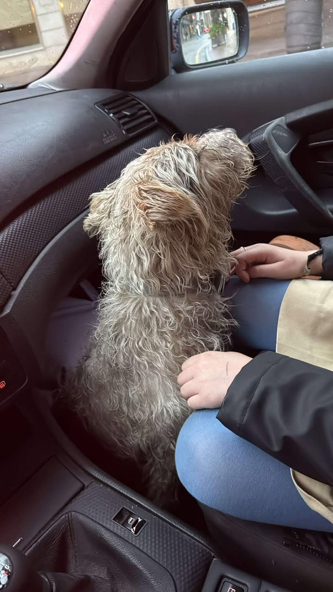 Torrelavega se mueve tweet media