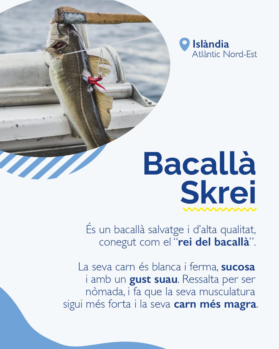 Condis Supermercats tweet media