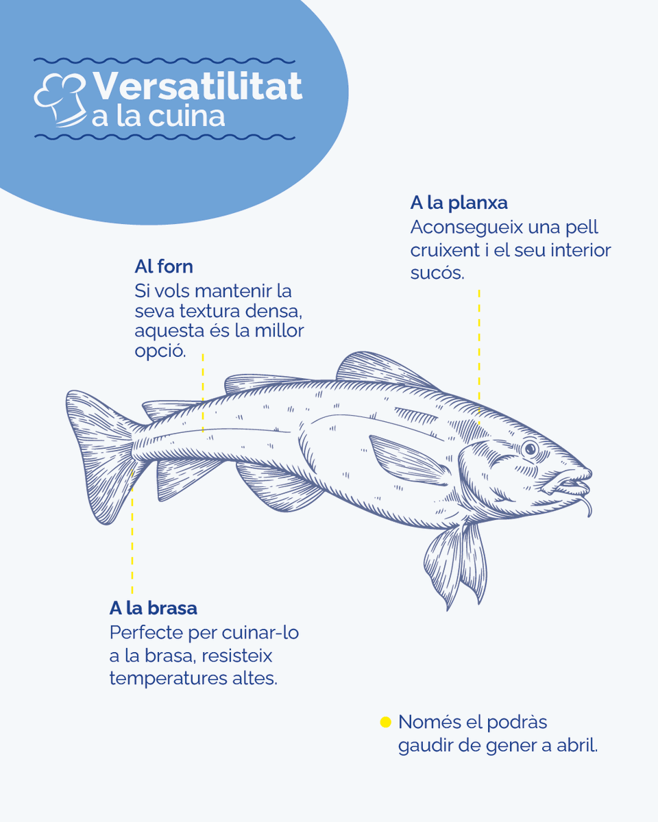 Condis Supermercats tweet media