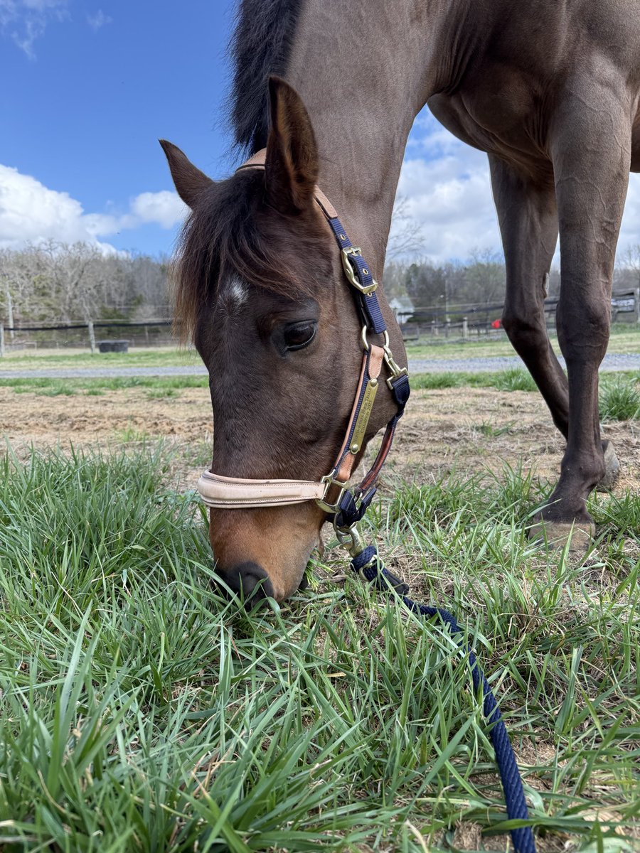 𝙰𝙼𝙰𝙽𝙳𝙰 𝙶𝙴𝙰𝙽𝙴𝚈 tweet media