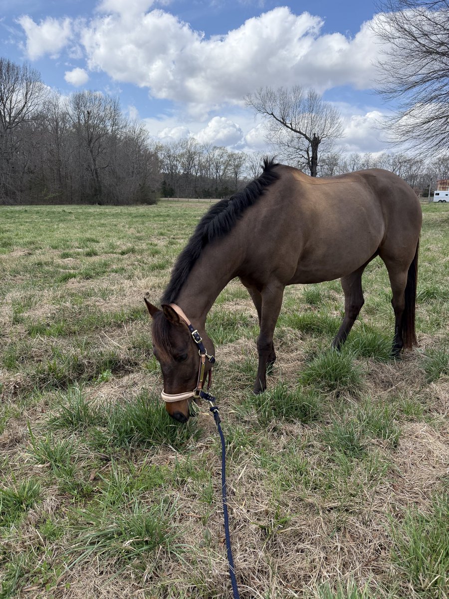 𝙰𝙼𝙰𝙽𝙳𝙰 𝙶𝙴𝙰𝙽𝙴𝚈 tweet media