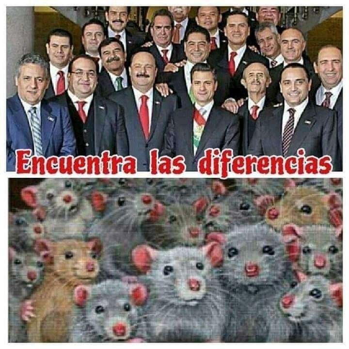 TheMorroazul tweet media