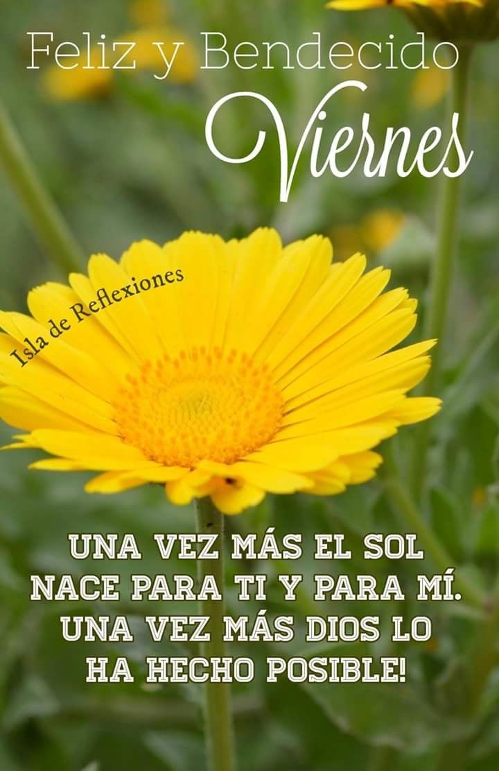 Karlingmm's tweet photo. @LorE_Vg Bonito viernes, cariño! 
Espero q la alegría d hoy sea el inicio d un fin de semana d descanso y momentos inolvidables.
¡Disfrútalo,mi lore!!
💕🤝🏻 🏖️🙏🏻 🌻🌞💫👋🏻 https://t.co/Dr5oTFvvv4